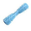 Brinquedo de borracha resistente para cães e gatos em forma de escova de dentes 14,2 x 3,6 cm colorido 4