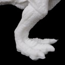 Brinquedo para colorir dinossauro 5