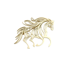 Broche de mode cheval courant 38 x 43,5 mm Acier inoxydable Motif animal élégant Quincaillerie résistante Accessoire stylé pour vêtements 3