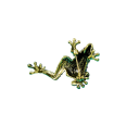 Broche de rana 4