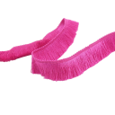Broderad band med fransar 2,8 cm x 1 m Polyester dekorerande band med dekorativa fransar för dekoration av kläder, klänningar och textiltillbehör 13