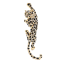 Brošňa leopard 1