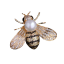 Brošňa včela 5
