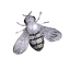 Brošňa včela 6