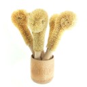 Brosse à verres 2