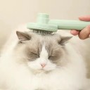 Brosse autonettoyante pour animaux de compagnie P3979 4