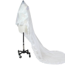 Bruidsvleugel 3 m Kathedraal Eenlaagse Tule Met Kam Kanten Rand Luxe Lange Vleugel Witte Ivory Witte 7