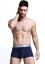 Bryan Herren-Boxershorts 9