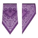 Bufanda transpirable para la cara y el cuello con punta triangular y patrón paisley en talla universal para moto, esquí y senderismo 24