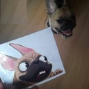 Bulldog bilklistermærke 3