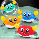 Bunte Aufziehkrabbe 12,3 x 6,2 x 6,5 cm Spielzeug für Kinder mit Hin- und Herbewegung Keine Batterien Motorische Entwicklung 2