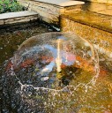 Buse de fontaine 4