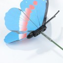 Butterfly Picks 24 pcs 5