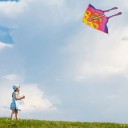 Butterfly Shaped Kite 3