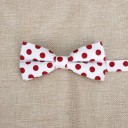 Butterfly T1304 3
