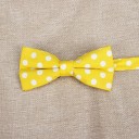 Butterfly T1304 4