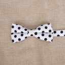 Butterfly T1304 8