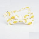 Butterfly T1305 4