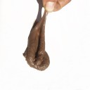 Caca en plastique 4