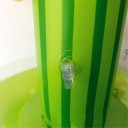 Cactus Ring Toss Game 2