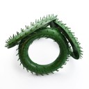 Cadre en plastique pour couronne 2