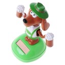 Cagnolino solare con birra 3