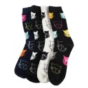 Calcetines con gatos 3