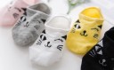 Calcetines cortos de mujer - Gatos A721 2