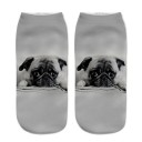 Calcetines tobilleros para niños - Perros 6