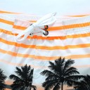 Calções de Praia Masculinos com Palmeiras J2762 2