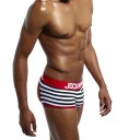 Calzoncillos tipo bóxer de rayas para hombre con agujero 4
