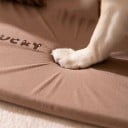 Cama térmica para perros en forma de casita con ventana y orejas 40 x 35 x 35 cm Alfombrilla en la entrada y almohada extraíble Desmontable 3
