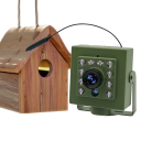 Câmara WiFi para caixa de pássaros com visão nocturna 2MP 1920P IR-CUT Áudio IP mini câmara com suporte para cartão SD, deteção de movimento e controlo via móvel 4