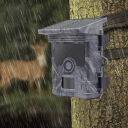 Caméra de chasse 4K 50MPx avec vision nocturne LED 42 Solaire IP66 Caméra étanche pour animaux avec écran LCD et carte SD 2