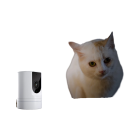 Cameră de securitate WiFi Full HD 1080P 2 MP obiectiv de 2 mm plastic alb alimentare de 5V pentru monitorizarea interioară a locuinței 2