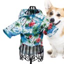 Camicia da spiaggia per cani 5