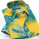 Camicia da uomo con palme F767 4