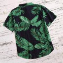 Camisa de hombre F528 2