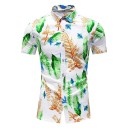 Camisa de hombre F733 19