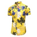 Camisa de hombre F733 22