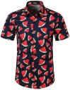 Camisa de manga corta para hombre F496 3