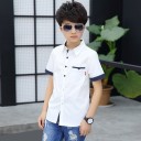 Camisa de niño L1804 5