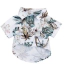Camisa de playa para perros 9