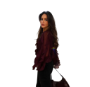 Camisa femenina elegante semitransparente con volantes y escote en V de manga larga con cierre de botones blusa de color sólido 14