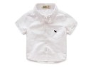 Camisa infantil L1793 2