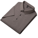 Camisa polo de hombre de manga corta Unicolor Patrón simple Cuello Botones Poliéster Corte clásico 11