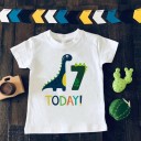 Camiseta de cumpleaños para niño B1538 9