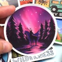 Camping Stickers 50 pcs E136 5