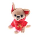 Cane Chihuahua di peluche 3
