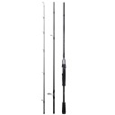 Canna da pesca a spinning 3,2 m 1